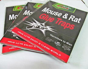 义乌绿亚日用品厂 厂家直销环保粘鼠胶板系列，引领家居虫害防治新风尚